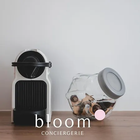 Le Magnifique Lafayette Equipe *